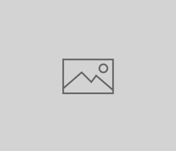 Networking Leader Application